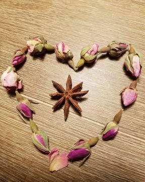 Rosebud heartshape Stock Photos