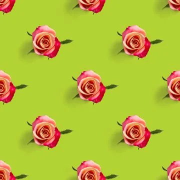 Rosebud seamless pattern. head of rose bloom isolated on green pattern, pop art Stock Photos
