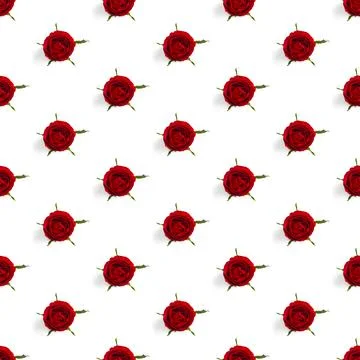 Rosebud seamless pattern. head of rose bloom isolated on white pattern, pop art Stock Photos