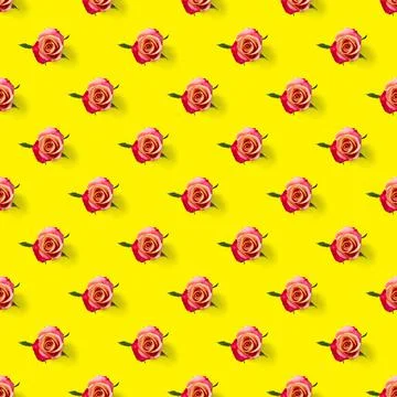 Rosebud seamless pattern. head of rose bloom isolated on yellow pattern, pop art Stock Photos