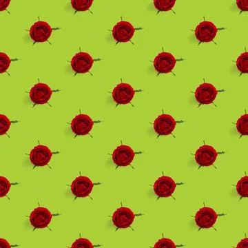 Rosebud seamless pattern. head of rose bloom isolated on green pattern, pop art Stock Photos