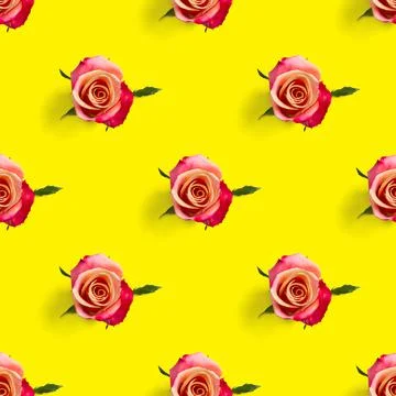 Rosebud seamless pattern. head of rose bloom isolated on yellow pattern, pop art Stock Photos