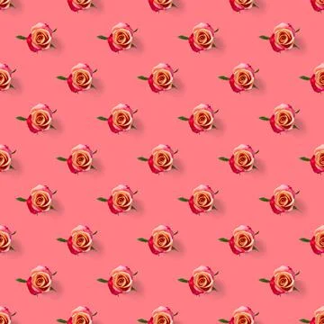 Rosebud seamless pattern. head of rose bloom isolated on pink pattern, pop art Stock Photos