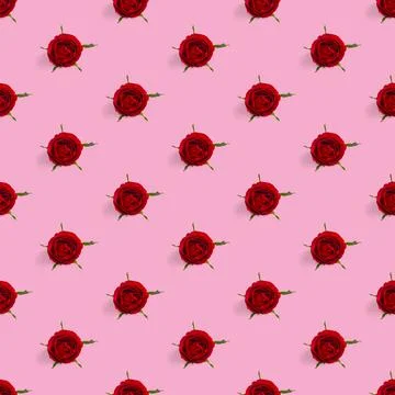 Rosebud seamless pattern. head of rose bloom isolated on pink pattern, pop art Stock Photos