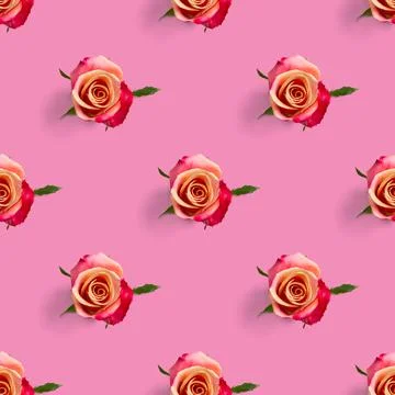 Rosebud seamless pattern. head of rose bloom isolated on pink pattern, pop art Stock Photos