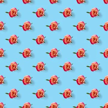 Rosebud seamless pattern. head of rose bloom isolated on blue pattern, pop art Stock Photos