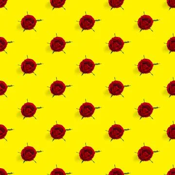 Rosebud seamless pattern. head of rose bloom isolated on yellow pattern, pop art Stock Photos