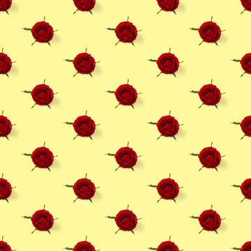 Rosebud seamless pattern. head of rose bloom isolated on yellow pattern, pop  Stock Photos