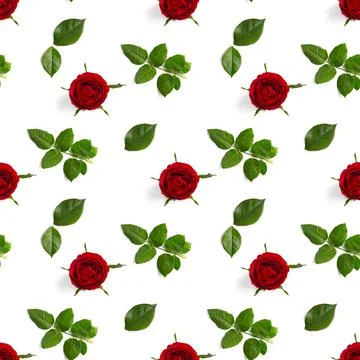 Rosebud seamless pattern. head of rose bloom isolated on white pattern, pop a Stock Photos