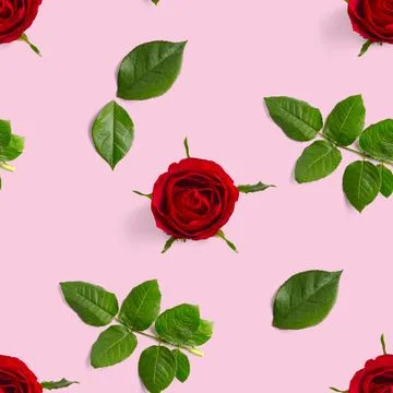 Rosebud seamless pattern. head of rose bloom isolated on pink pattern, pop ar Stock Photos