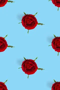 Rosebud seamless pattern. head of rose bloom isolated on blue pattern, pop art Foto stock