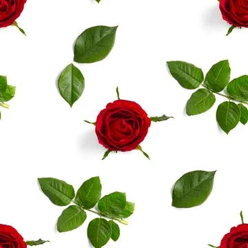 Rosebud seamless pattern. head of rose bloom isolated on white pattern, pop art Stock Photos