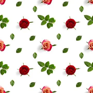 Rosebud seamless pattern. head of rose bloom isolated on white pattern, pop art Stock Photos
