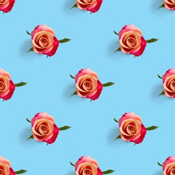 Rosebud seamless pattern. head of rose bloom isolated on blue pattern, pop art Stock Photos
