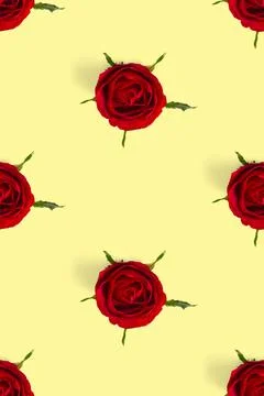 Rosebud seamless pattern. head of rose bloom isolated on yellow pattern, pop art Stock Photos