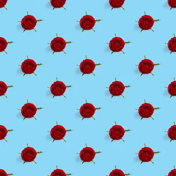 Rosebud seamless pattern. head of rose bloom isolated on blue pattern, pop art Stock Photos