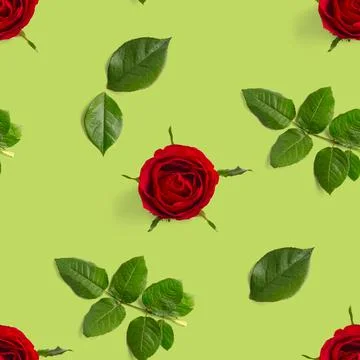 Rosebud seamless pattern. head of rose bloom isolated on green pattern, pop art Stock Photos