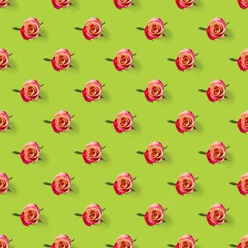 Rosebud seamless pattern. head of rose bloom isolated on green pattern, pop art Stock Photos