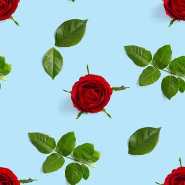 Rosebud seamless pattern. head of rose bloom isolated on blue pattern, pop art Stock Photos