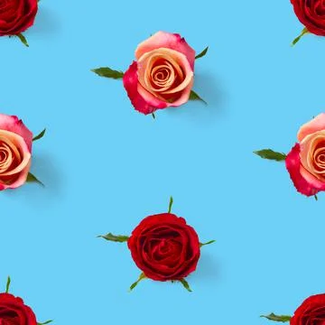 Rosebud seamless pattern. head of rose bloom isolated on blue pattern, pop art Stock Photos