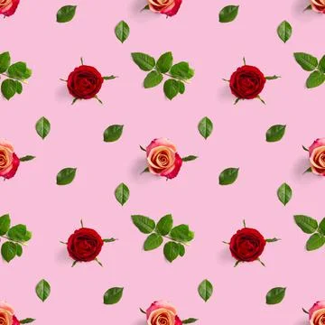 Rosebud seamless pattern. head of rose bloom isolated on pink pattern, pop art Stock Photos