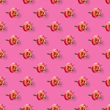 Rosebud seamless pattern. head of rose bloom isolated on pink pattern, pop art Stock Photos