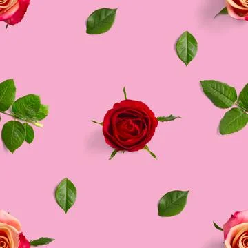Rosebud seamless pattern. head of rose bloom isolated on pink pattern, pop art Stock Photos