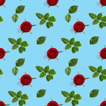 Rosebud seamless pattern. head of rose bloom isolated on blue pattern, pop art Stock Photos