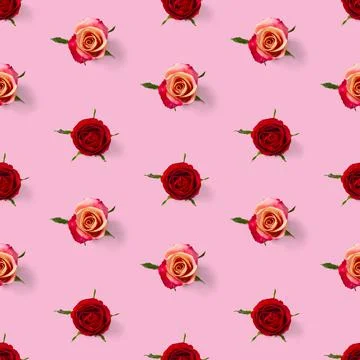 Rosebud seamless pattern. head of rose bloom isolated on pink pattern, pop art Stock Photos