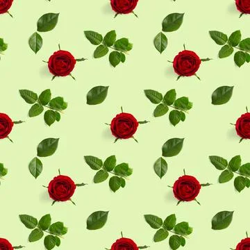 Rosebud seamless pattern. head of rose bloom isolated on green pattern, pop art Stock Photos