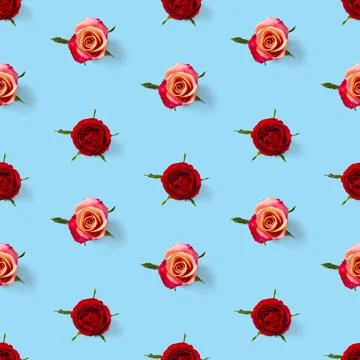 Rosebud seamless pattern. head of rose bloom isolated on blue pattern, pop art Stock Photos
