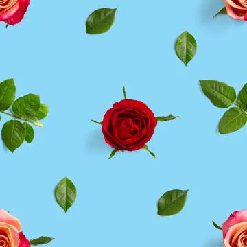 Rosebud seamless pattern. head of rose bloom isolated on blue pattern, pop art Stock Photos