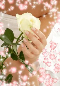 Rosebud surrounded by flowers #2 Stock Illustration