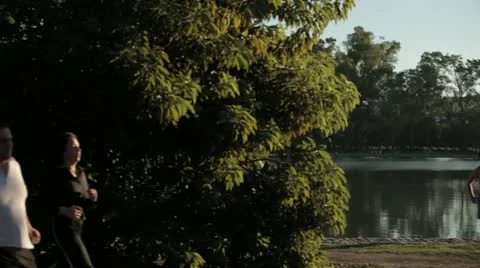 Rosedal1 Stock Footage 11852953