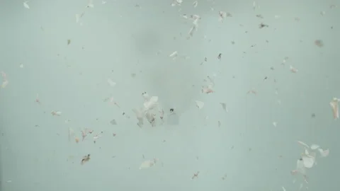 RoseExplosion3 Stock Footage 170762426