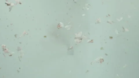 RoseExplosion4 Stock Footage 170762370