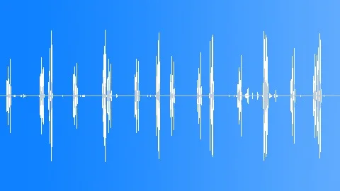 Rosefinch One Singing Bird Sound Effect