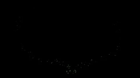 RoseHeartsPhotoJPEG Stock-Footage 1077447