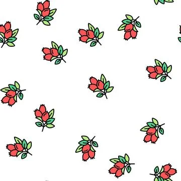 Rosehip aromatherapy color icon vector isolated illustration Stock Illustration