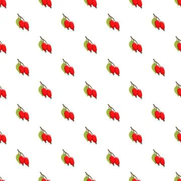 Rosehip berries pattern seamless on white background 스톡 일러스트
