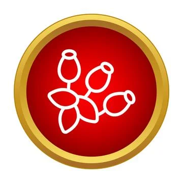 Rosehip berries vector icon on red circle 스톡 일러스트