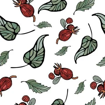 Rosehip with leaf pattern. Seamless pattern with rose hips on a twig in natur 스톡 일러스트