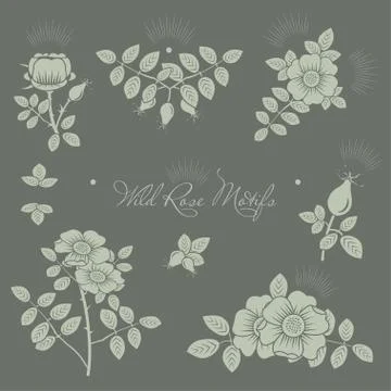 Rosehip motifs vector illustrations set for cards and patterns. Stock Illustration