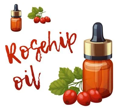 Rosehip oil in a small bottle vector icon isolated on white background, cartoon Stock Illustration