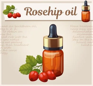 Rosehip oil in a small bottle vector icon, cartoon illustration of essential oil Stock-Illustration