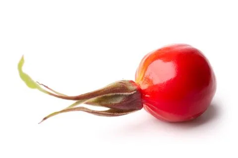 Rosehip Stock Photos