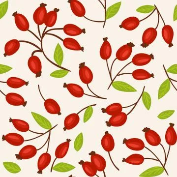 Rosehip seamless background Illustrazione stock