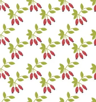 Rosehip seamless pattern. Hawthorn endless background. Red autumn berries rep Stock Illustration