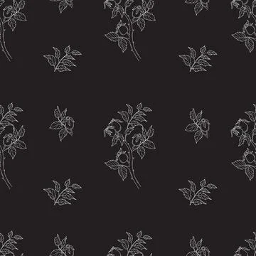 Rosehip seamless pattern. White line hand drawing of rosehip branch with le.. Stock Illustration