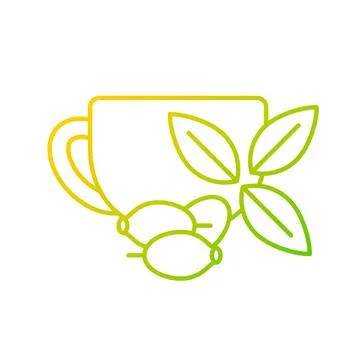 Rosehip tea gradient linear vector icon Stock Illustration